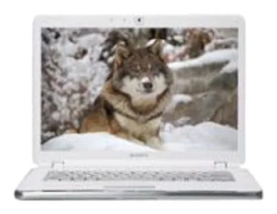 VAIO VGN-AR520E/B